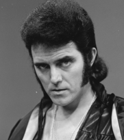 Tributes have been paid to the singer Alvin Stardust