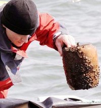 Swiss authorities investigate funeral urns mystery